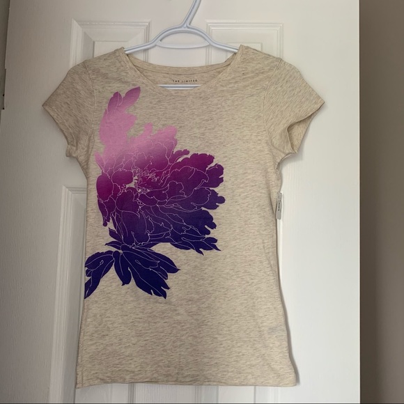 NEW 3 for $15 The Limited Perfect Tee - Picture 2 of 7